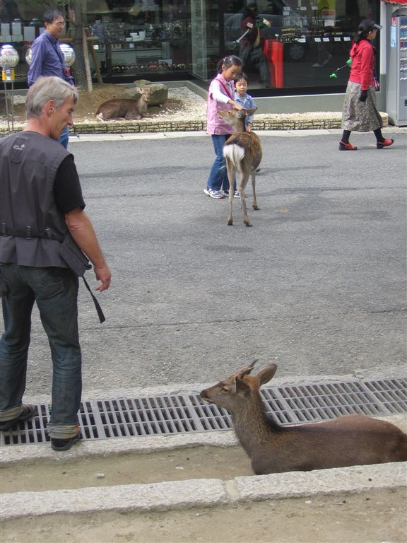 nara 2.jpg